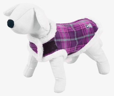 Dog Clothes, HD Png Download, Free Download