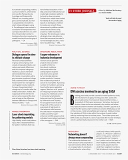 Document, HD Png Download, Free Download
