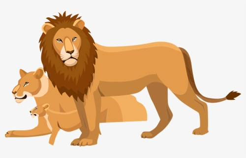 African Lion Cartoon, HD Png Download, Free Download