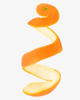 Transparent Citrus Clipart - Zucchini, HD Png Download, Free Download