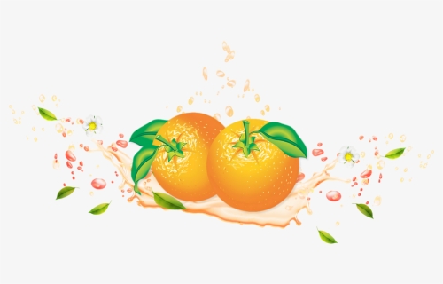 Tube Fruit, Oranges Png, Agrume - Clementine, Transparent Png, Free Download