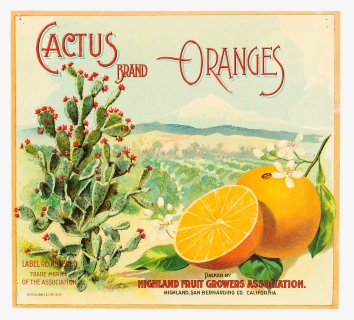 Fruit Label - "cactus Brand - Rangpur, HD Png Download, Free Download