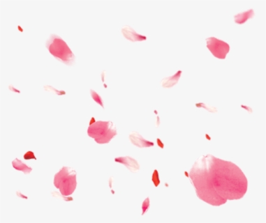 #petals #roses - Pink Rose Petals Png, Transparent Png, Free Download