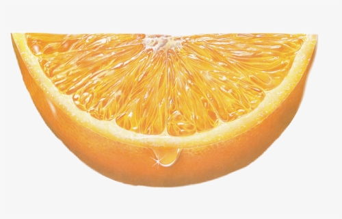#fruit #orange #slice #orangeslice - Sadahito Mori, HD Png Download, Free Download
