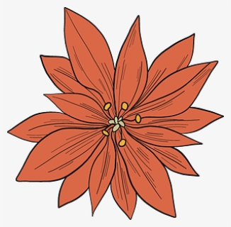 Poinsettia Clipart - Black-eyed Susan, HD Png Download, Free Download