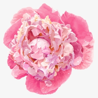 Cartoon Peony , Png Download - Free Watercolor Peonies Vector, Transparent Png, Free Download