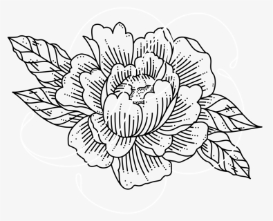 Peony - Sunflower, HD Png Download, Free Download