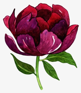 Free Png Floral Bouquets - Common Peony, Transparent Png, Free Download