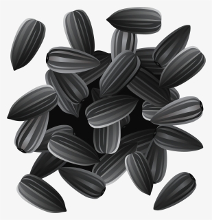 Sunflower Seed Png - Sunflower Seeds Clipart, Transparent Png, Free Download