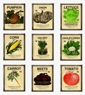 Fascinating Vegetable Garden Seeds Charming Ideas Seed - Vegetable Seeds Clipart Free, HD Png Download, Free Download