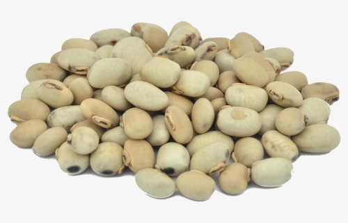 Kaunch Beej, HD Png Download, Free Download
