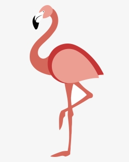 Flamingo Clipart Water Clipart - Ibis, HD Png Download, Free Download