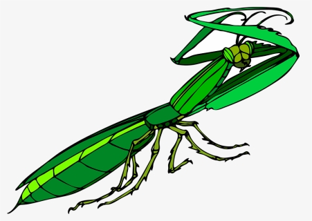Animated Praying Mantis Png, Transparent Png, Free Download