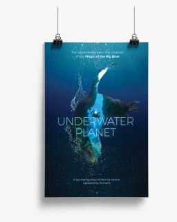 Transparent Underwater Png - Poster, Png Download, Free Download