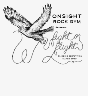 Onsight Rock Gym Fight Or Flight - Red-tailed Hawk, HD Png Download, Free Download