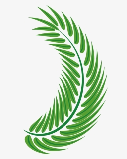 Transparent Palm Leaf Vector Png - Palm Trees, Png Download, Free Download