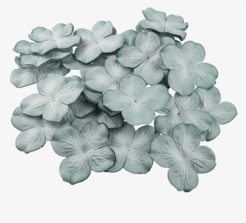 50 2-tone Cadet Blue Hydrangea Blooms - Artificial Flower, HD Png Download, Free Download