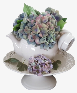 Hydrangea Flowers Dried Flower - Dziovinta Hortenzija, HD Png Download, Free Download