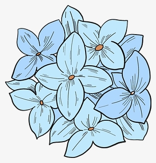 Hydrangea Clipart, HD Png Download, Free Download