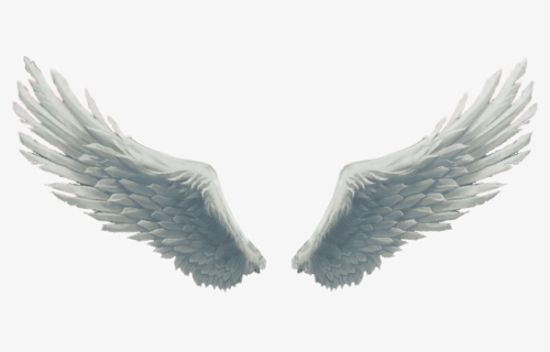 Wings Clipart Picsart - Angel Wings Png, Transparent Png, Free Download