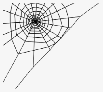 Spiderweb On Transparent Background, HD Png Download, Free Download