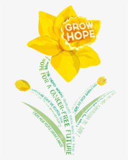American Cancer Society Daffodil Days 2018, HD Png Download, Free Download