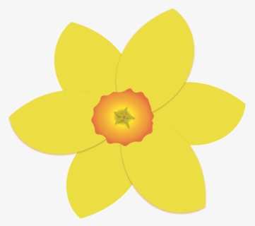 Single Daffodil - Dicotyledon, HD Png Download, Free Download