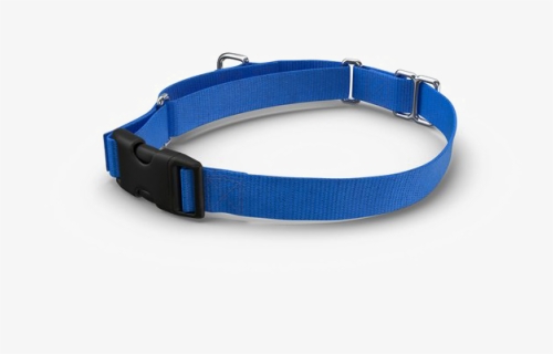Dog Collar Png Pic - Collar And Leash Png, Transparent Png, Free Download