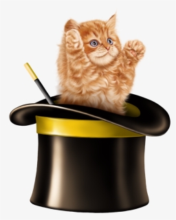 Kitten Cartoon, Kitten Images, Cats And Kittens, Tube, - Cat In A Hat Clipart, HD Png Download, Free Download