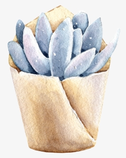 Succulents Hand Painted Watercolors Of Transparent - Paper, HD Png Download, Free Download