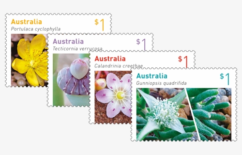 Australian Succulents Set Of Stamps - Australian 2017 Flower Stamps, HD Png Download, Free Download