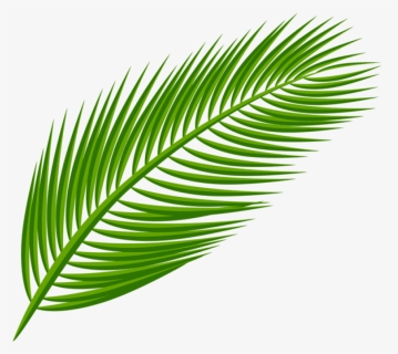 Download Palm Leaf Transparent Clipart Png Photo , - Transparent Background Palm Leaves Clipart, Png Download, Free Download