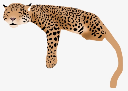 Jaguar Transparent Cartoon - Jaguar, HD Png Download, Free Download