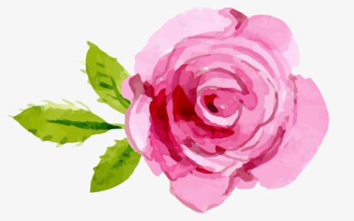 #pink #rose #tattoo - Watercolor Pink Roses Clipart, HD Png Download, Free Download