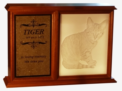Tiger Lit, HD Png Download, Free Download