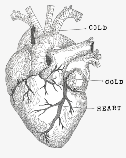 Cold Cold Heart Web Big Final , Png Download - Arch, Transparent Png, Free Download