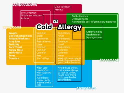 Allergy Cold , Png Download - Sinus Infection Vs Cold Vs Allergies, Transparent Png, Free Download