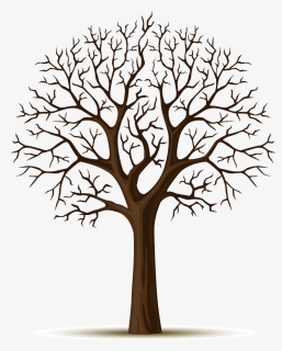 Wall Decal Tree Sticker - Nar Ağacı Çizimi, HD Png Download, Free Download
