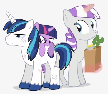 Dm29, Bandage, Bite Mark, Biting, Bruised, Filly, Filly - My Little Pony Shining Armor, HD Png Download, Free Download