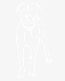 Santa Monica Dog Bite - Johns Hopkins Logo White, HD Png Download, Free Download