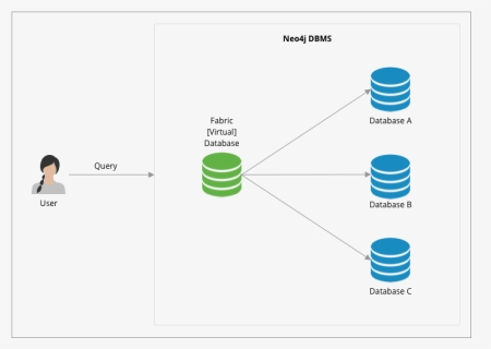 Fabric Single Instance - Neo4j Fabric, HD Png Download, Free Download