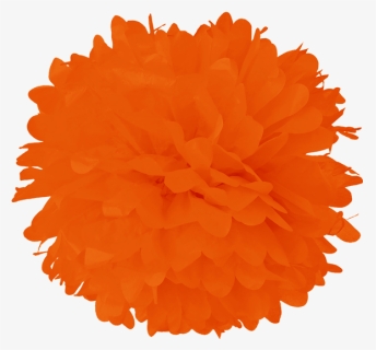 Tangerine Tissue Pom Poms - Red Pom Pom Clipart, HD Png Download, Free Download