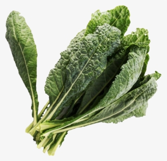 Vegetable Green Leaves Png Free Pic - Lacinato Kale, Transparent Png, Free Download