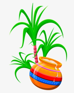 Transparent Pongal Houseplant Flowerpot Leaf For Thai - Happy Pongal Greeting Cards, HD Png Download, Free Download