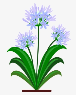 Plant,flora,flowerpot - Flower Blue Pdf, HD Png Download, Free Download