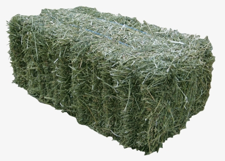 Bales Of Hay From A Farm Or Feed Store Are Incredibly - Grass Bale Png, Transparent Png, Free Download