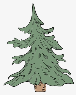 Evergreen Tree Clipart - Christmas Tree, HD Png Download, Free Download