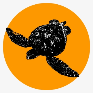 Olive Ridley Sea Turtle, Hd Png Download, Transparent Png, Free Download