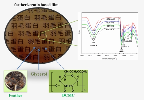 Diagram, HD Png Download, Free Download