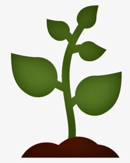 Vibrant Sprout - Plants, HD Png Download, Free Download